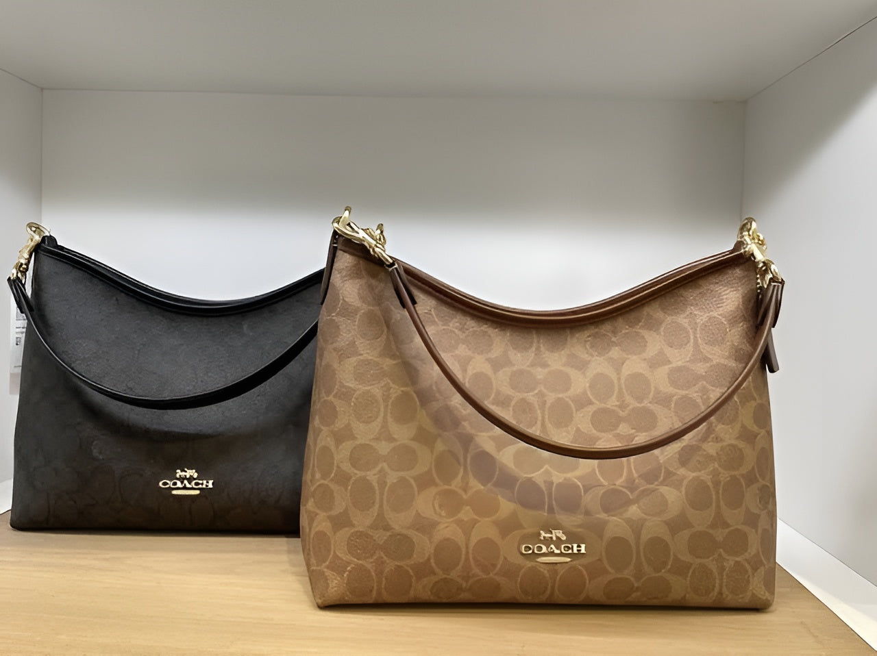 Coach Hand Bag In Signature Canvas