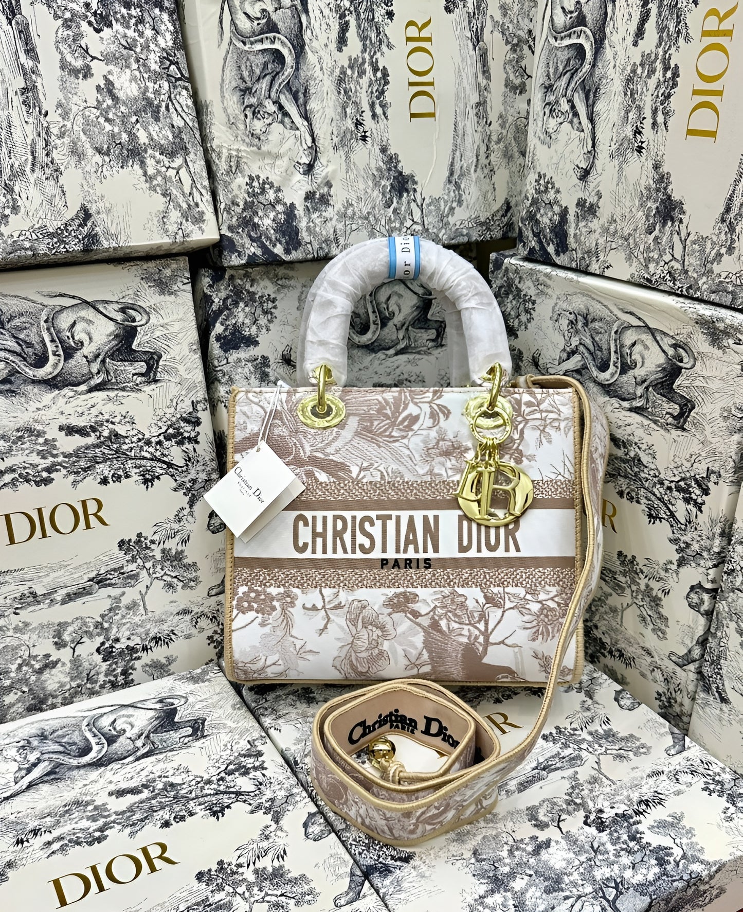 Christian Dior Medium Lady Bag